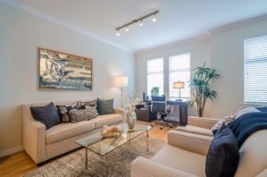 monogram art    snow water falls 2